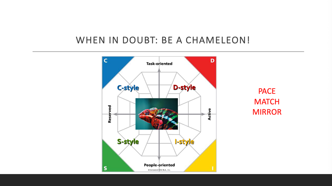 sandler_original_chameleon