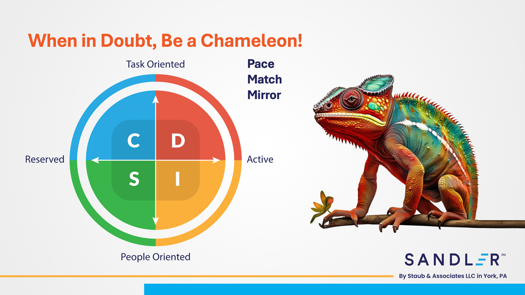 sandler_spring_2025_chameleon